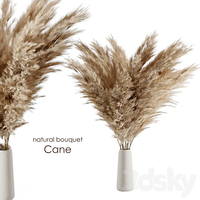 Natural cane bouquet 3DModel