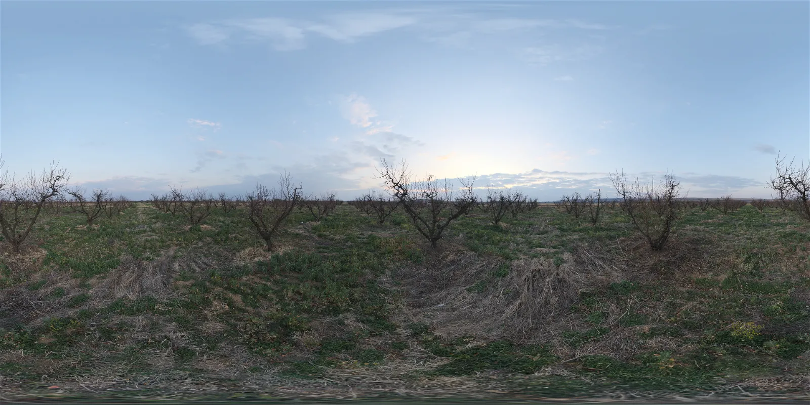 HDRI outdoor FREE DOWNLOAD 
