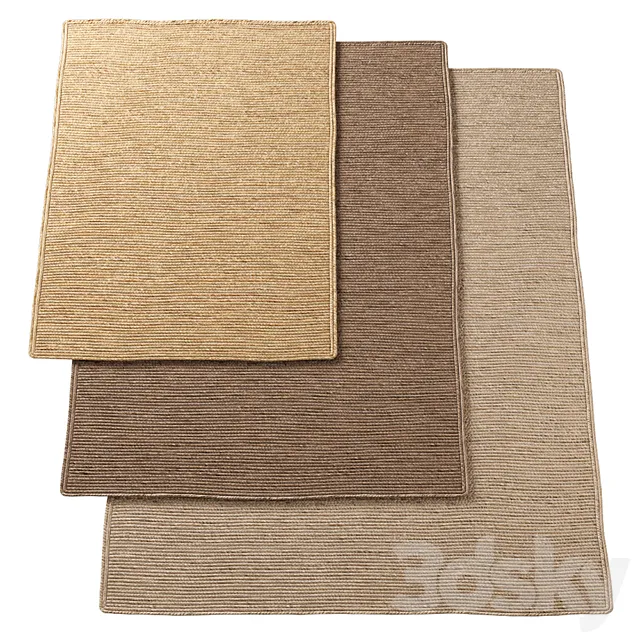 Natural Transverse Braided Jute Rug 3D Model