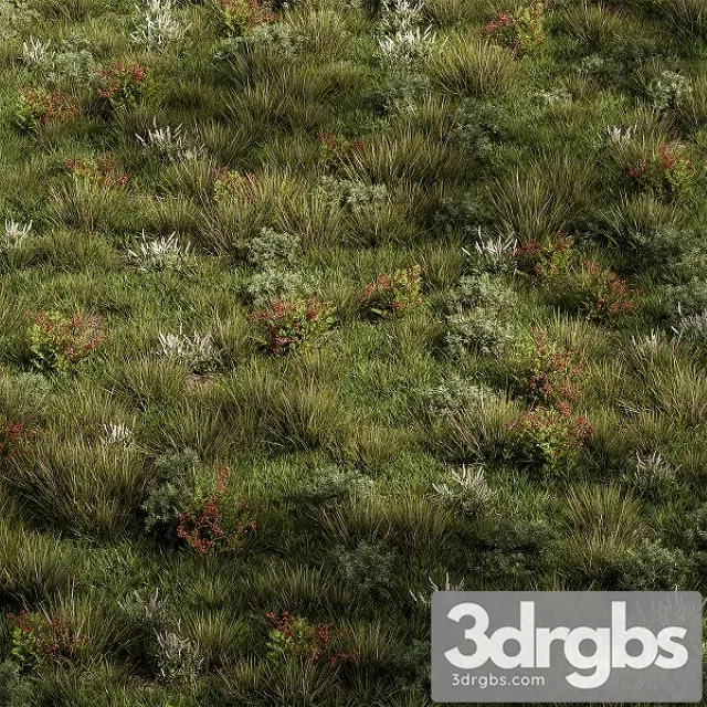 Nature Meadow Grass Set 17 3D Model Free