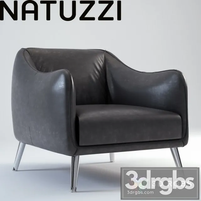 Natuzzi Platea Leather Armchair 3D Model Free