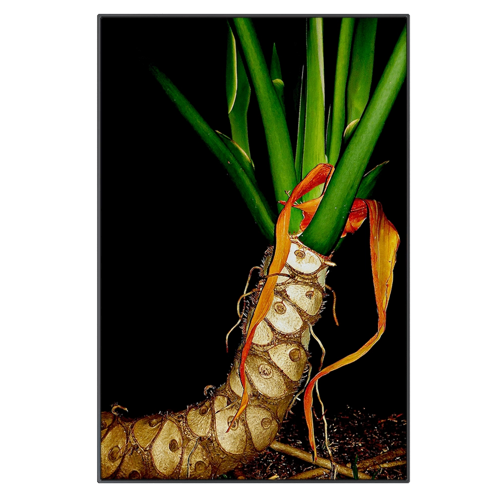 NC Design group® - Picture EBG01 3D Model