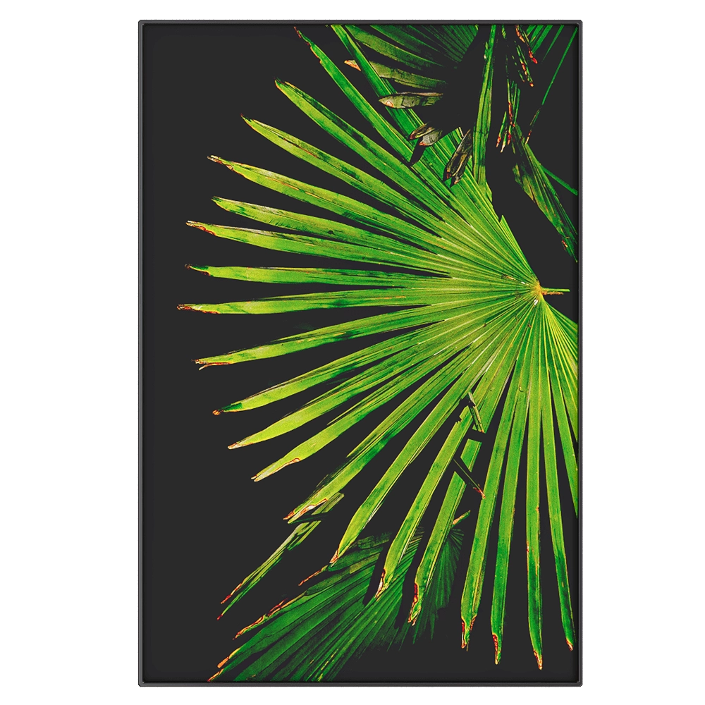 NC Design group® - Picture EBG11 3D Model