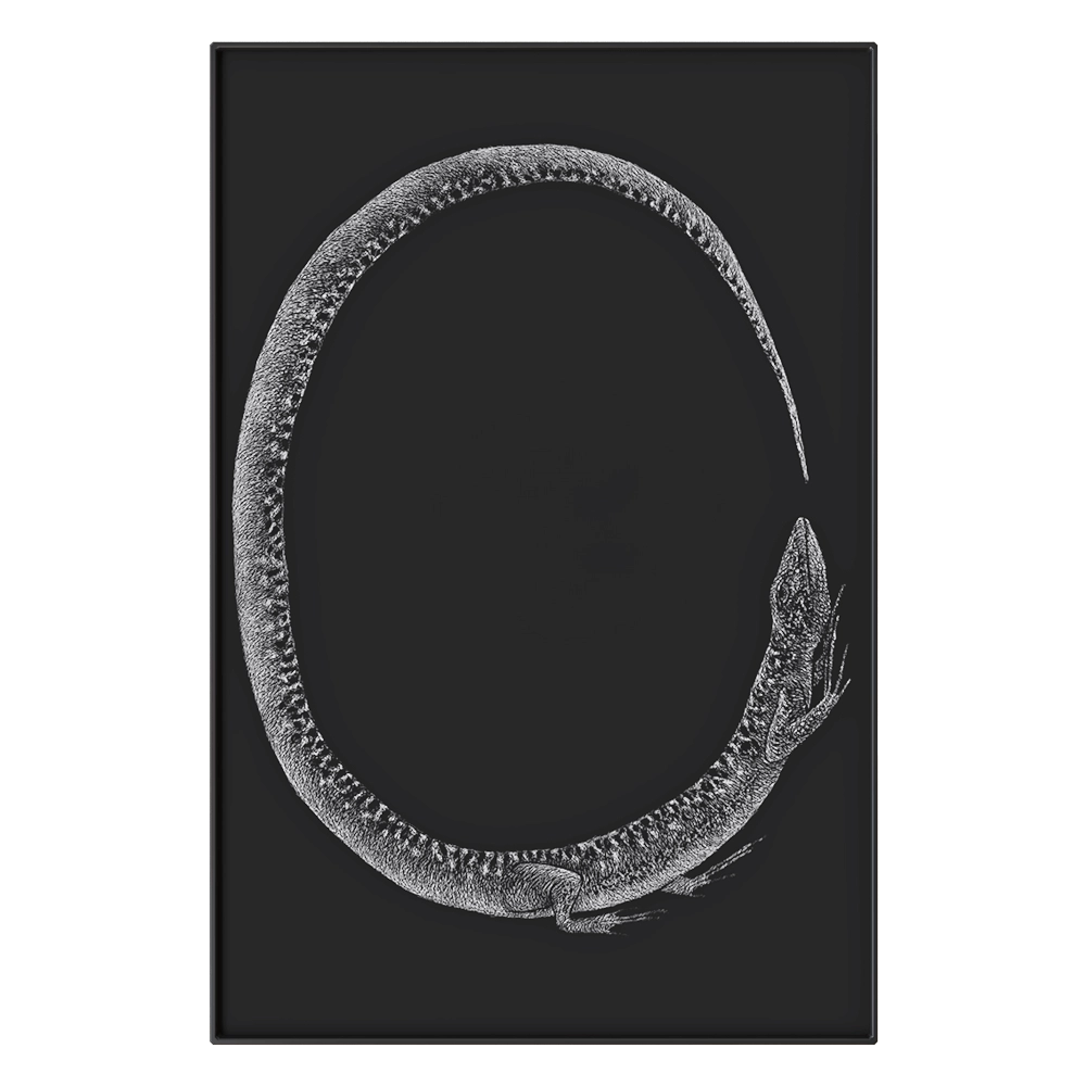 NC Design group - Picture NCD-LMR09 3D Model