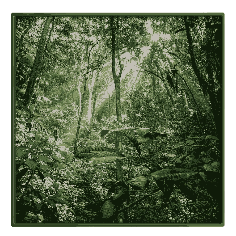 NC Design group - Picture NCD-MFV09 3D Model