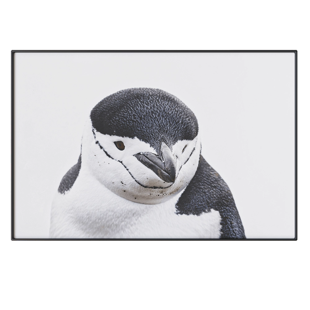 NC Design group - Picture NCD-PTZ03 3D Model