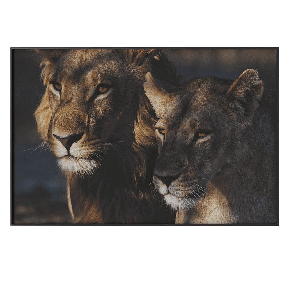 NC Design group - Picture NCD-PTZ06 3D Model