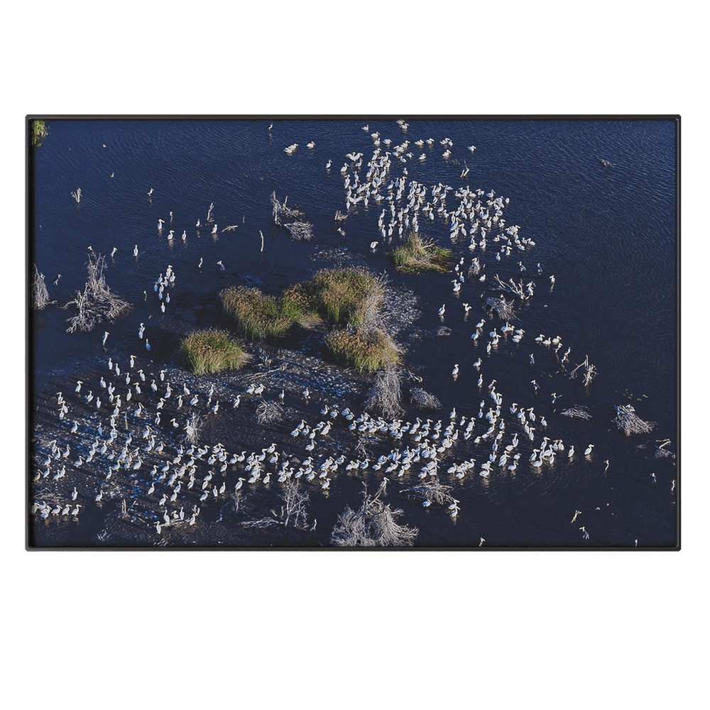 NC Design group - Picture NCD-PTZ07 3D Model