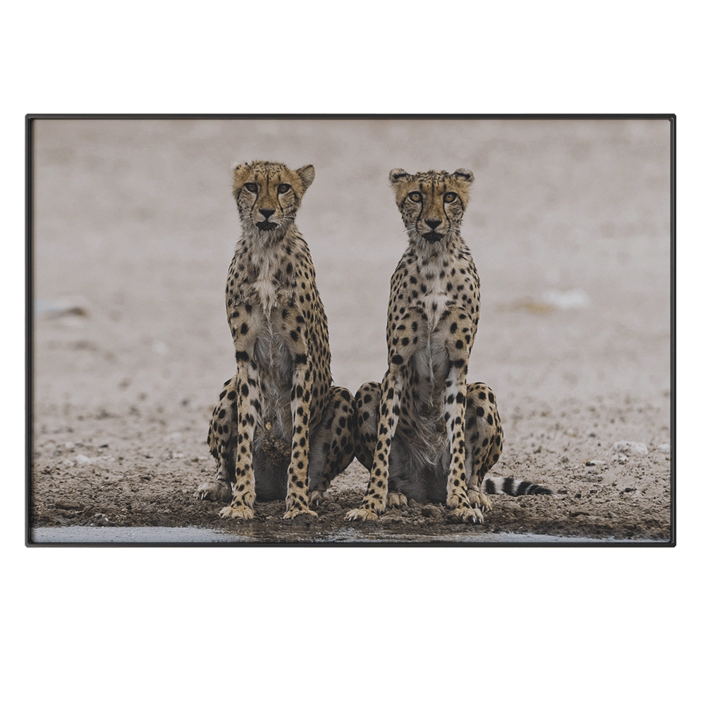 NC Design group - Picture NCD-PTZ09 3D Model