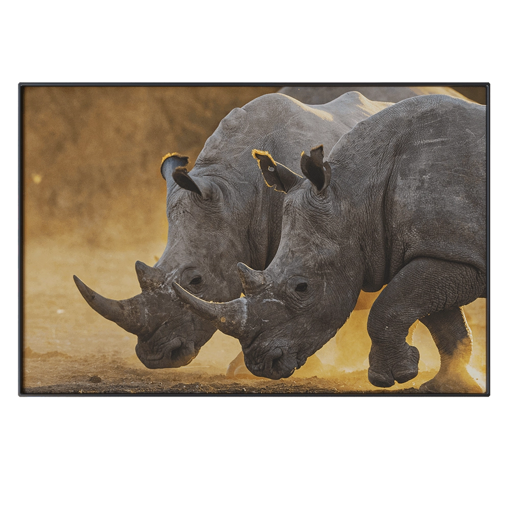 NC Design group - Picture NCD-PTZ12 3D Model