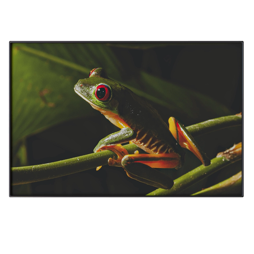 NC Design group - Picture NCD-PTZ17 3D Model