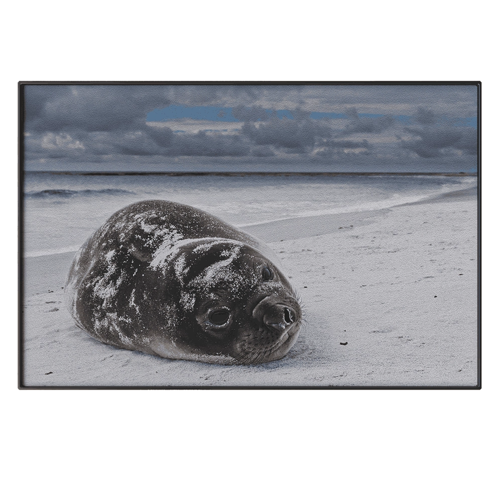 NC Design group - Picture NCD-PTZ20 3D Model