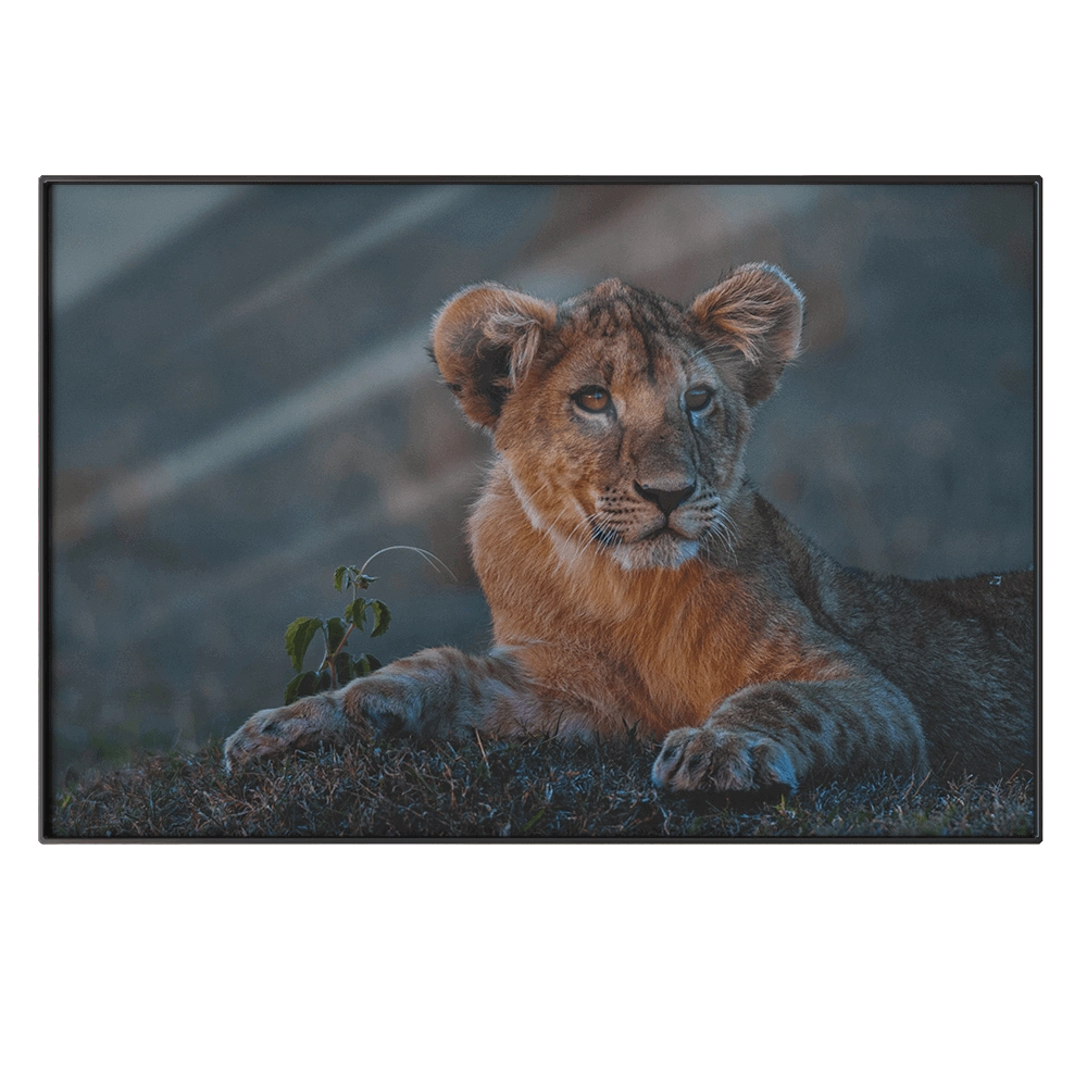 NC Design group - Picture NCD-PTZ24 3D Model