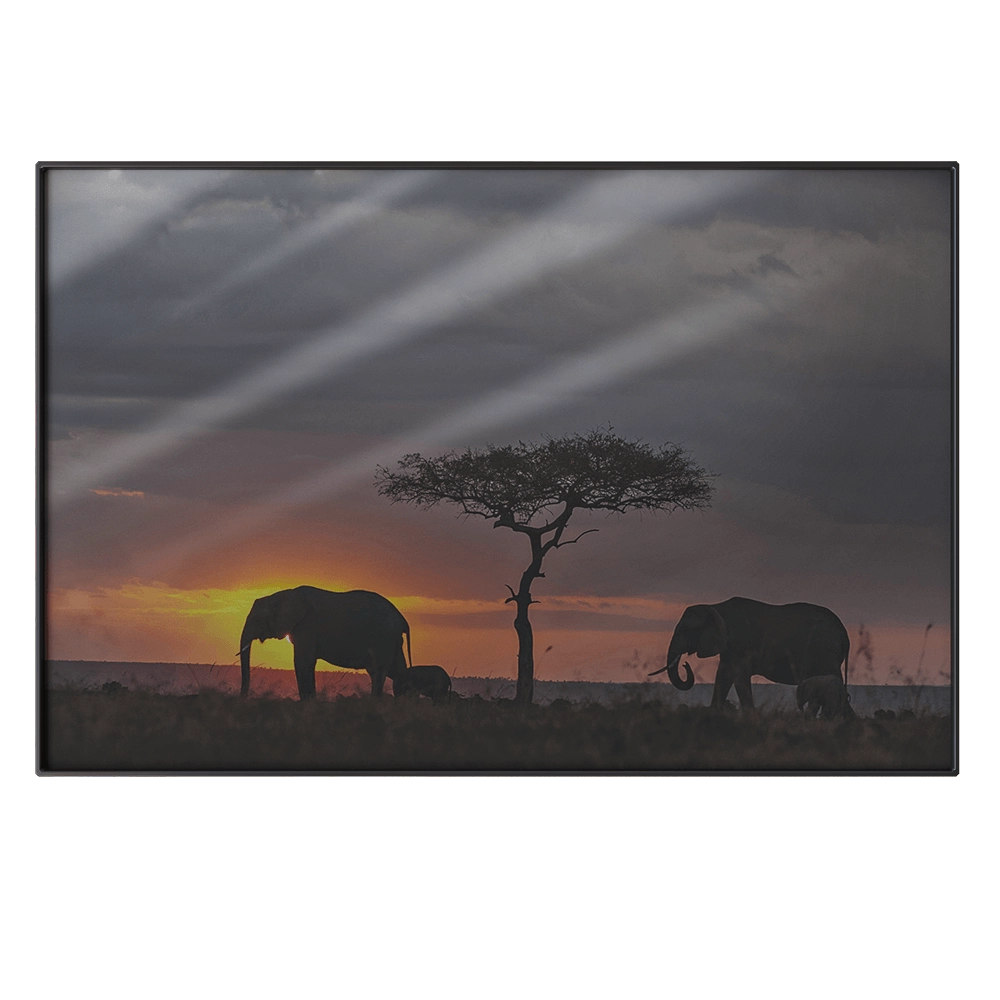 NC Design group - Picture NCD-PTZ25 3D Model