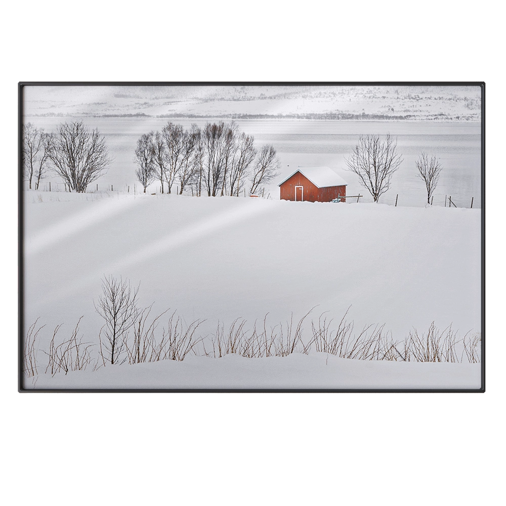 NC Design group - Picture NCD-PTZ31-AL 3D Model