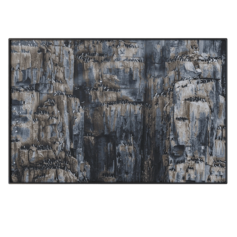 NC Design group - Picture NCD-PTZ35 3D Model