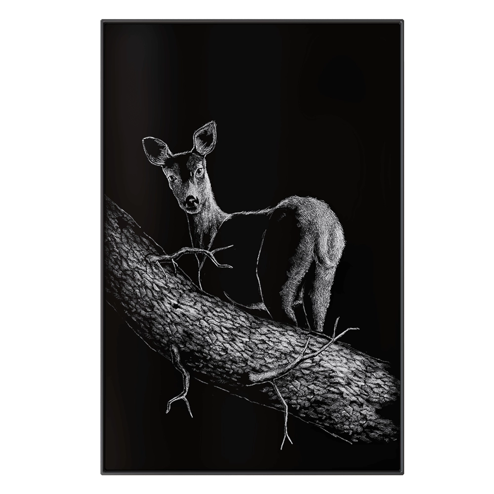 NC Design group - Picture NCD-SPR06 3D Model