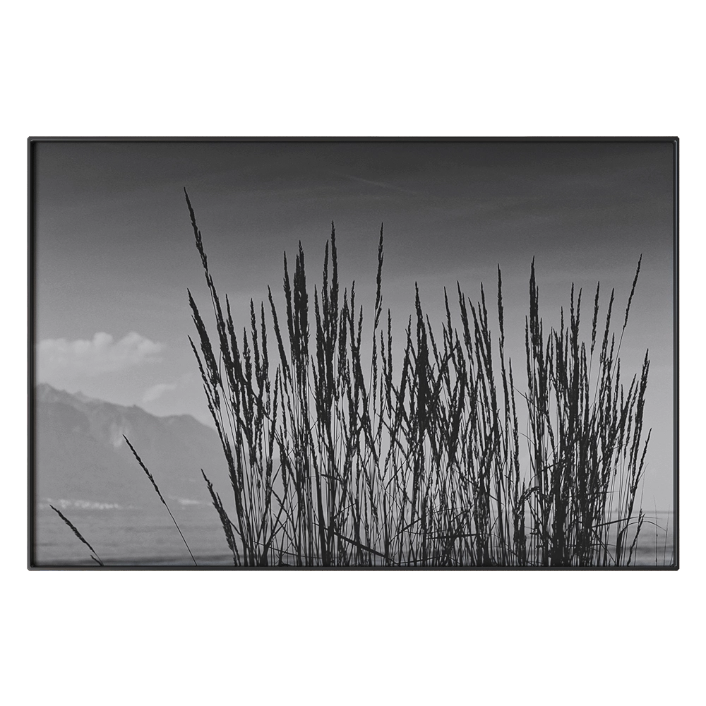 NC Design group - Picture NCD-TBK01 3D Model