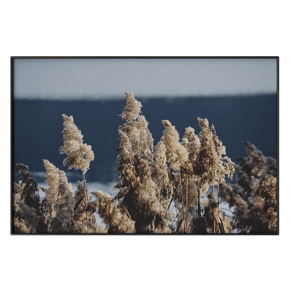 NC Design group - Picture NCD-TBK09 3D Model