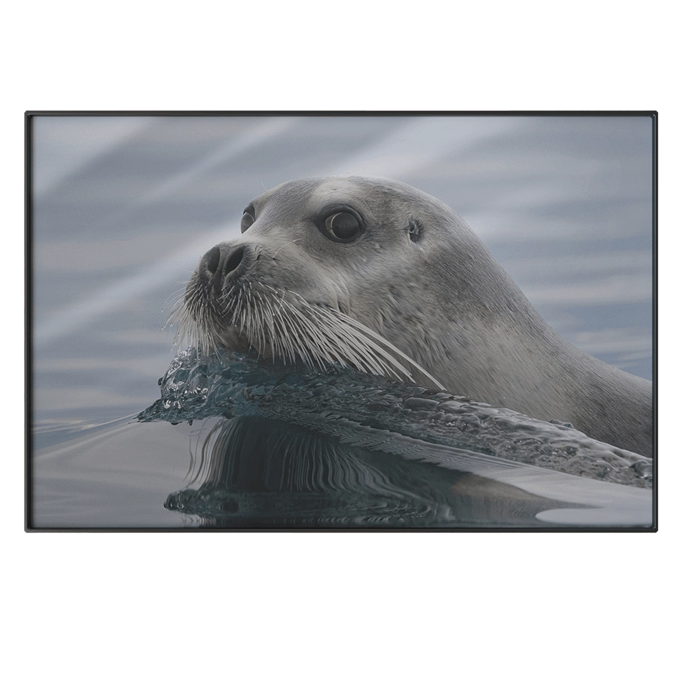 NC Design group - Picture PTZ36 3D Model