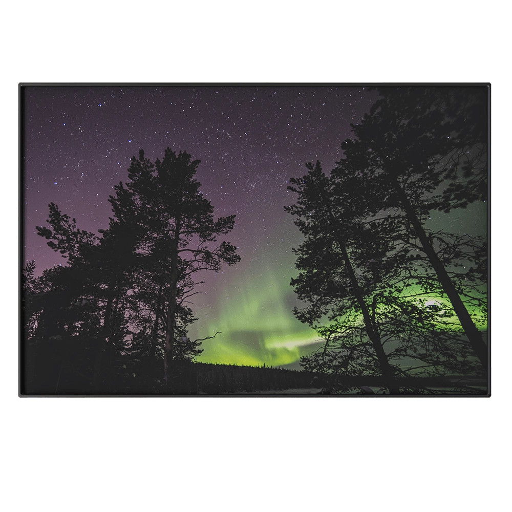 NC Design group - Picture PTZ43 3D Model