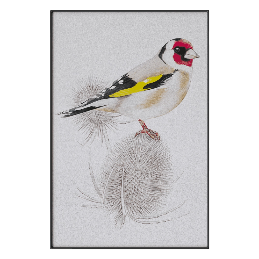 NC Design group - Picture SLU05 3D Model