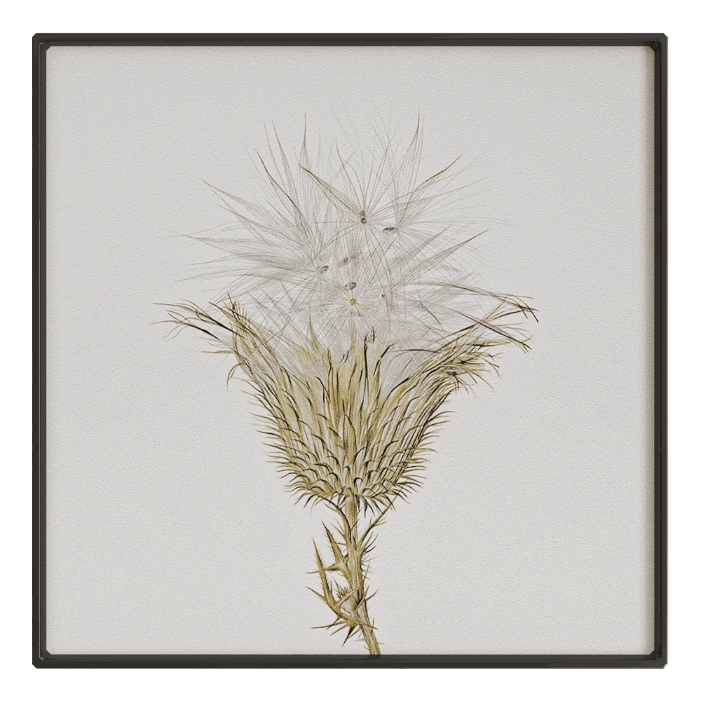 NC Design group - Picture SLU07 3D Model