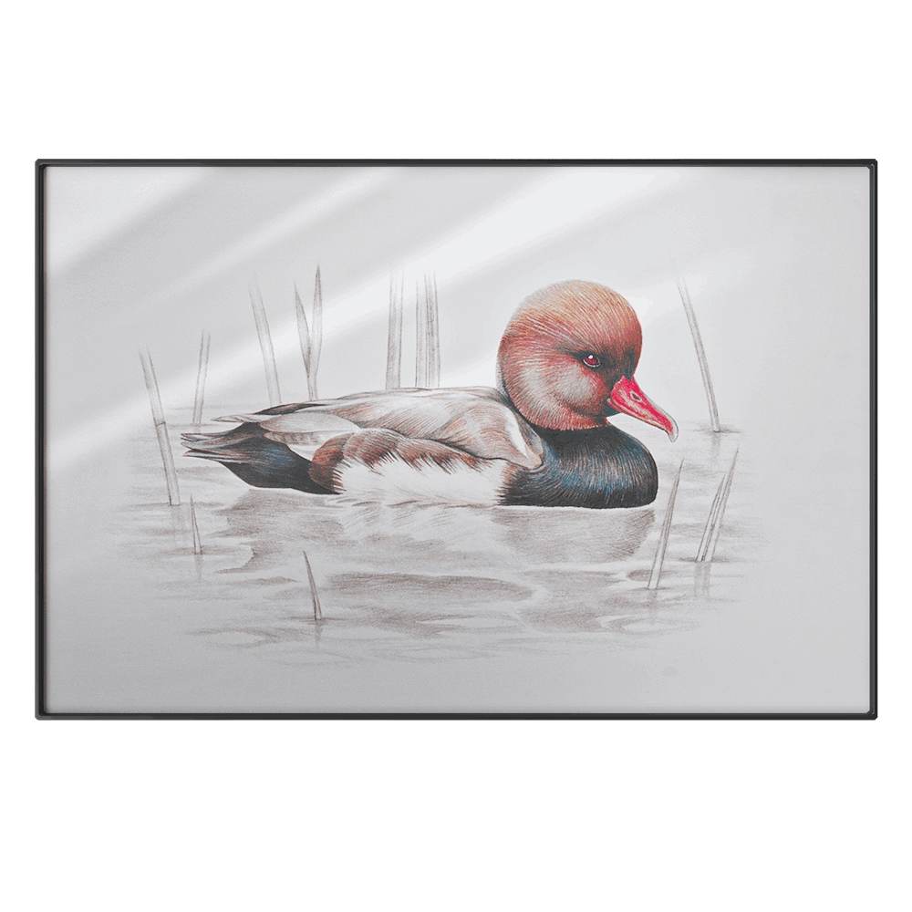 NC Design group - Picture SLU09 3D Model