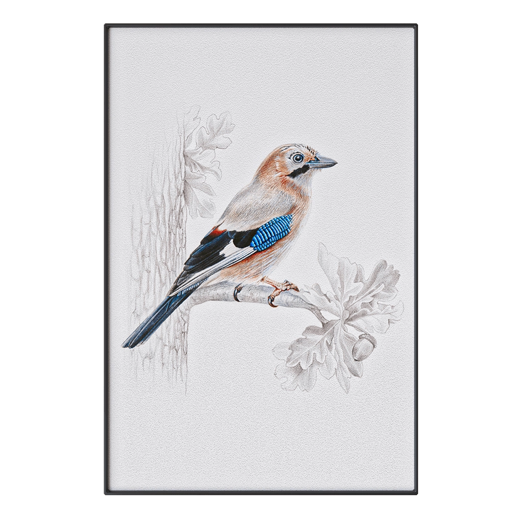 NC Design group - Picture SLU11 3D Model