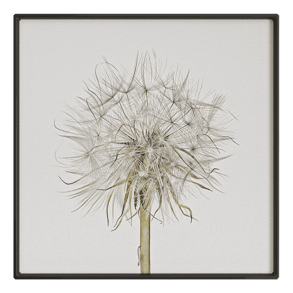 NC Design group - Picture SLU12 3D Model