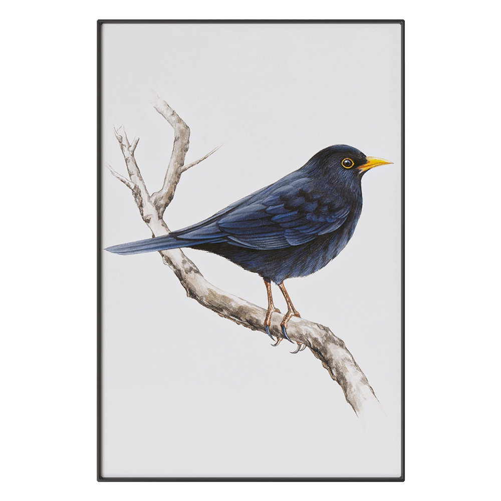 NC Design group - Picture SLU13 3D Model