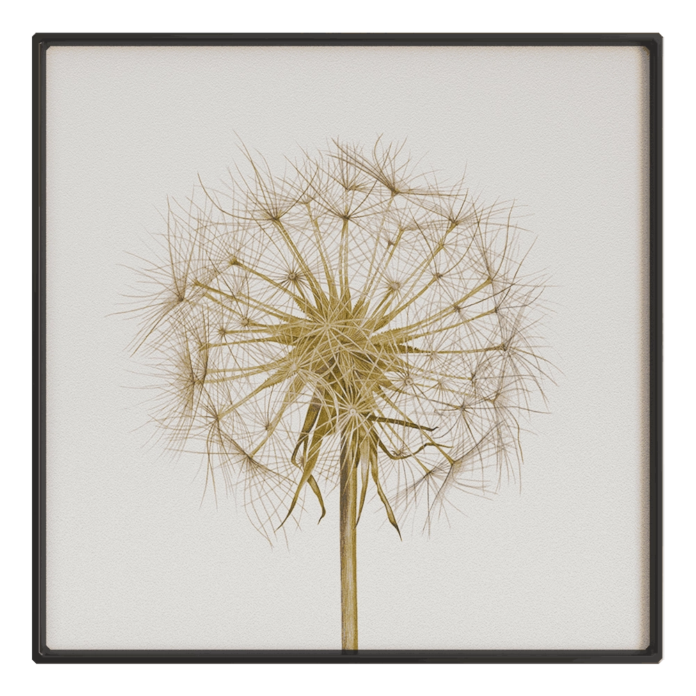 NC Design group - Picture SLU19 3D Model