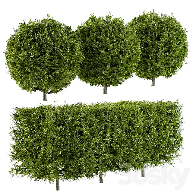 Needle Bush Shape (Cube and Globe) 3D Model