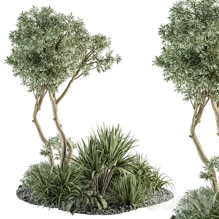 Needle tree and Bush - Outdoor Garden Set 305 3D Model Free