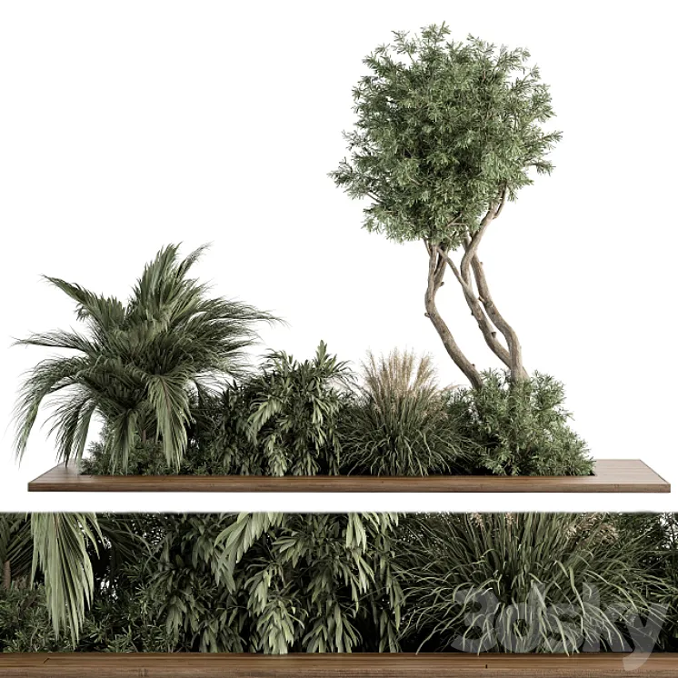 Needle tree and Palm Bush - Outdoor Garden Set 314 3D Model Free