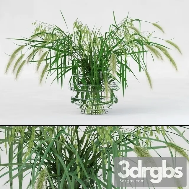 Northern Sea Oats and Pennisetum Green 3D Model Free