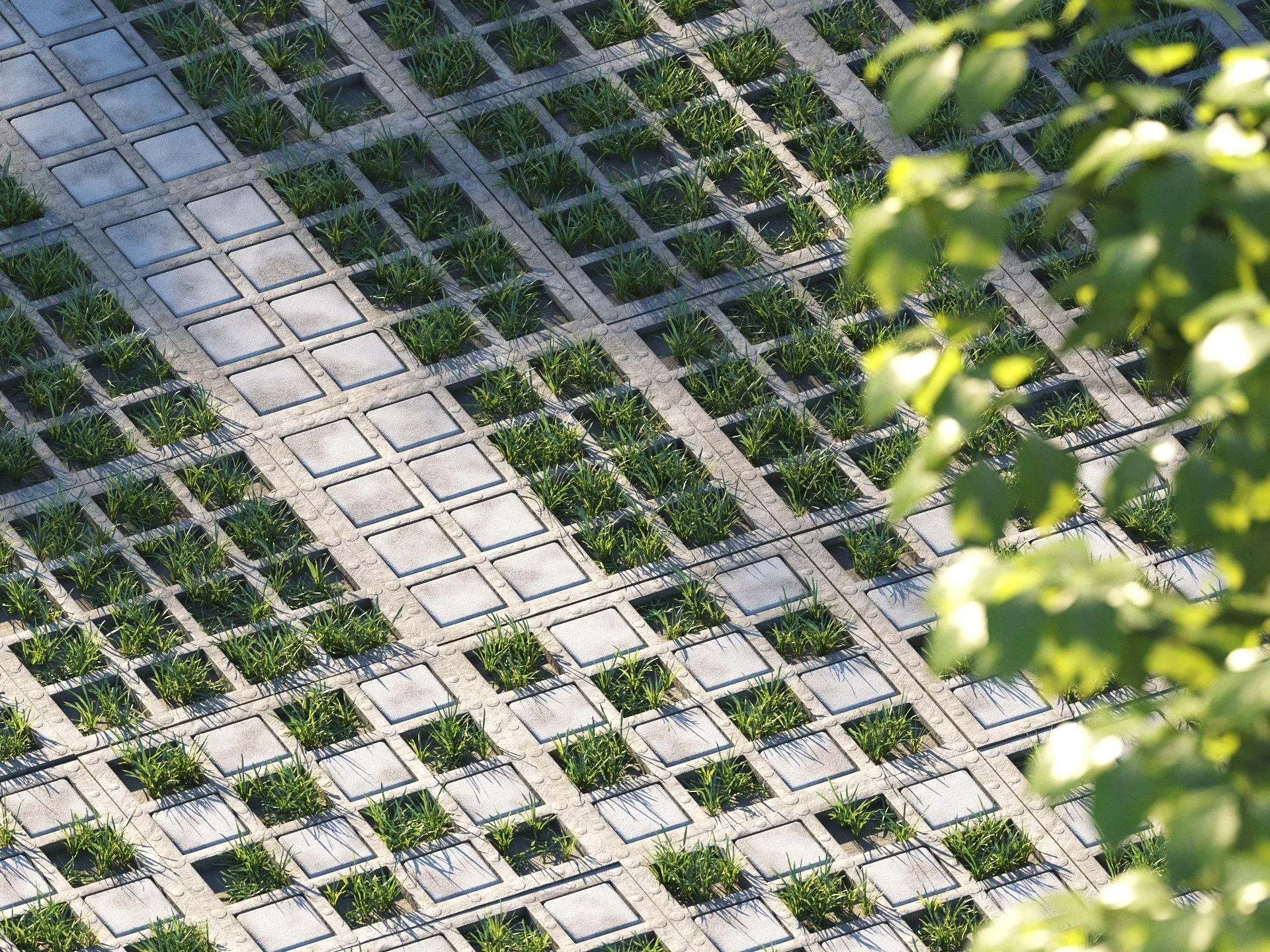 Nouvelle Mesure Lab - Parking Grass Pack - Svaeren Winter Pack