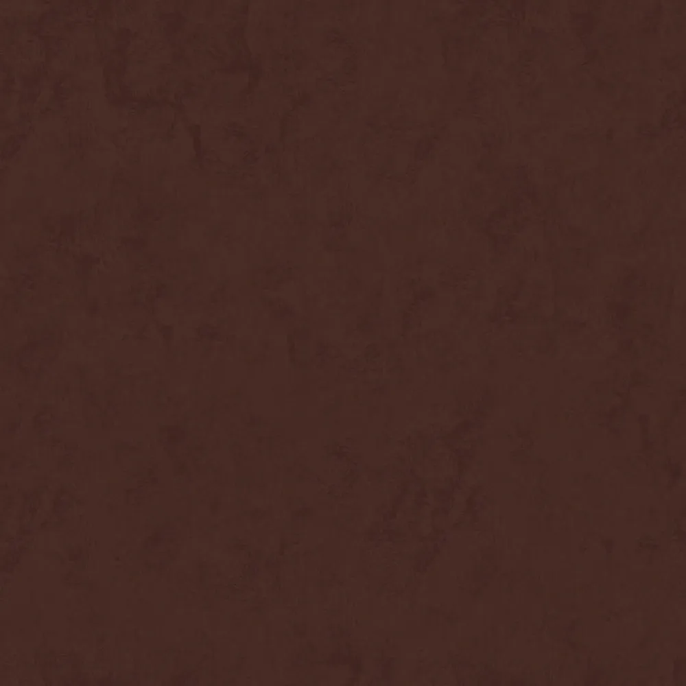 Novacolor - Paint DG 14231 3D Model