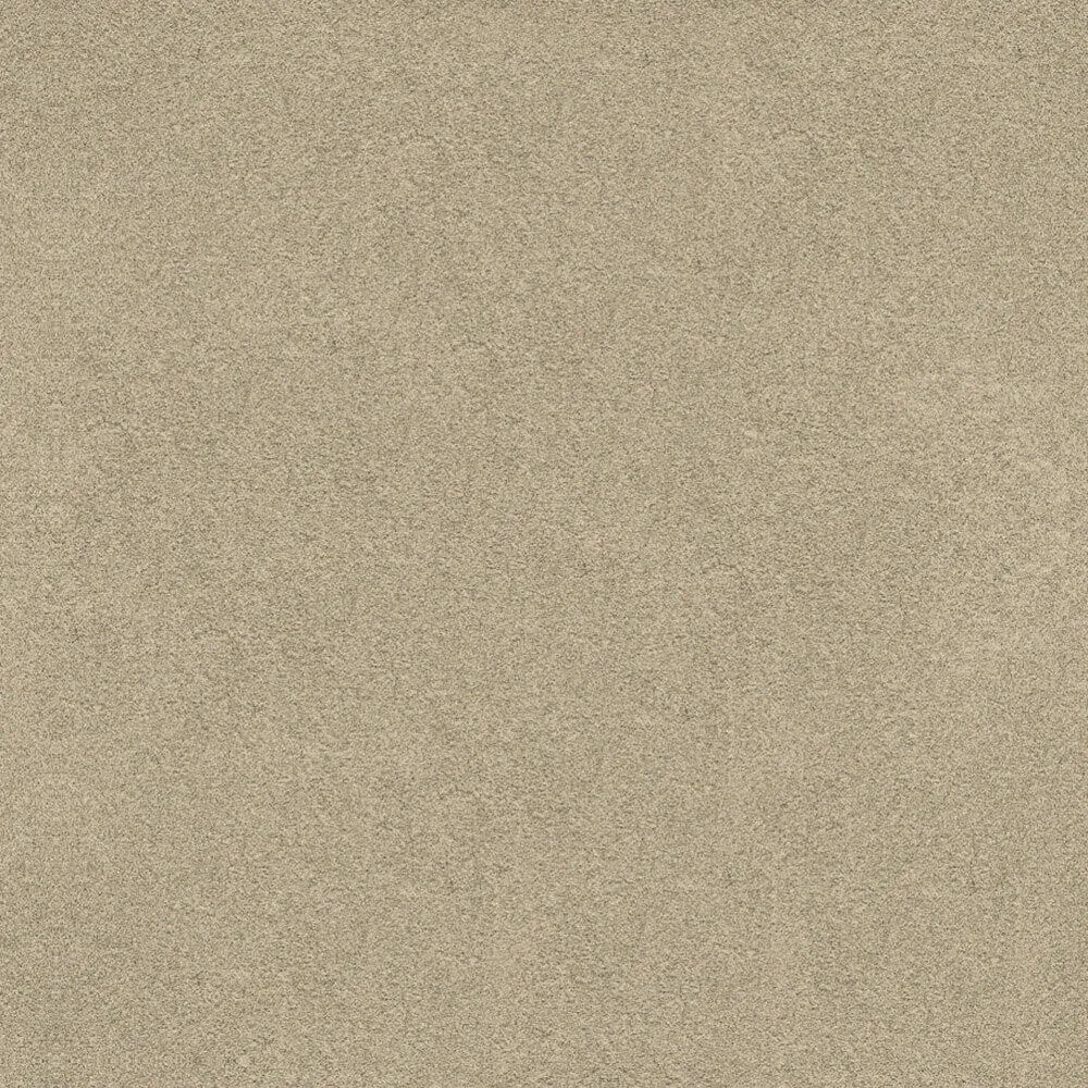 Novacolor - Paint LS18313 3D Model