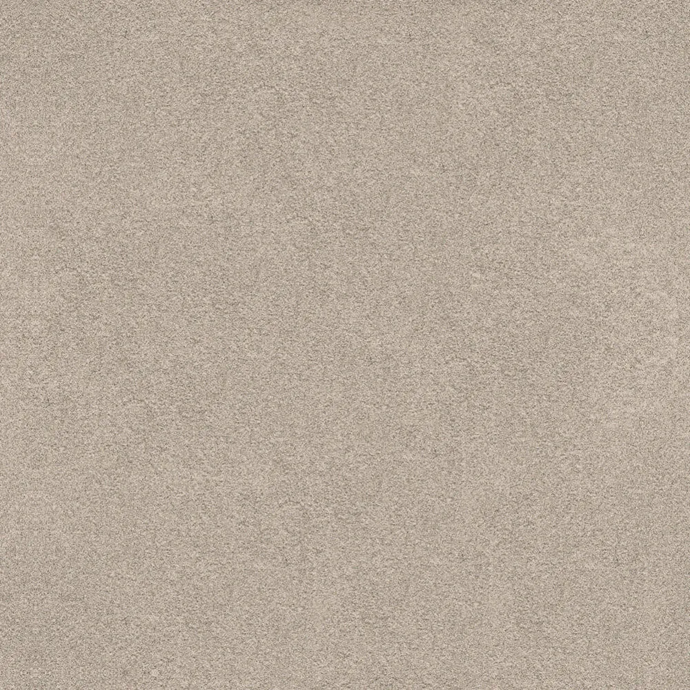 Novacolor - Paint LS18316 3D Model