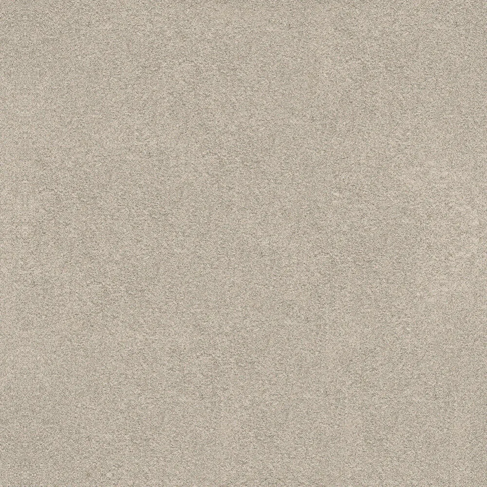 Novacolor - Paint LS18321 3D Model