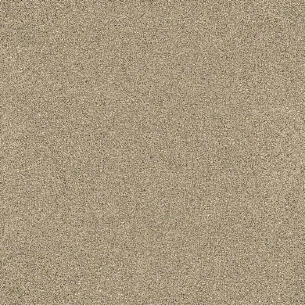 Novacolor - Paint LS18324 3D Model