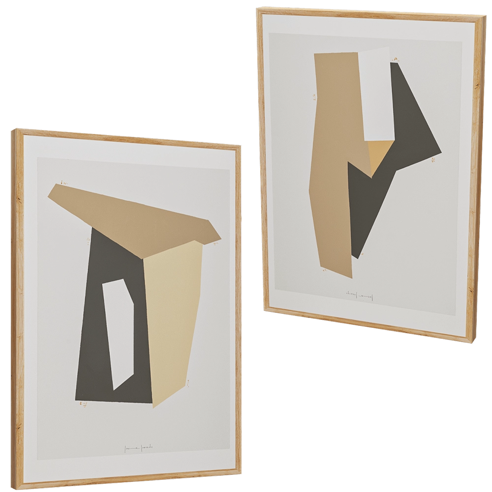 Novocuadro Art Company  - Picture Lighi plane I & II ambiente 3D Model