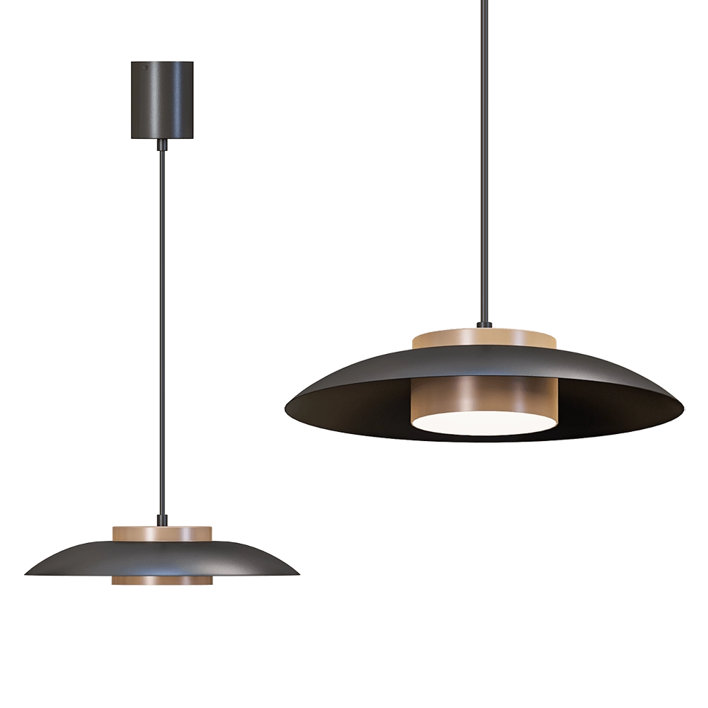 Novotech - Pendant lamp PILZ 358591 3D Model