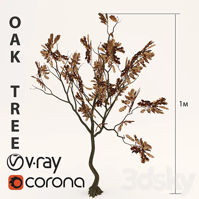 OAK Tree 3D Model