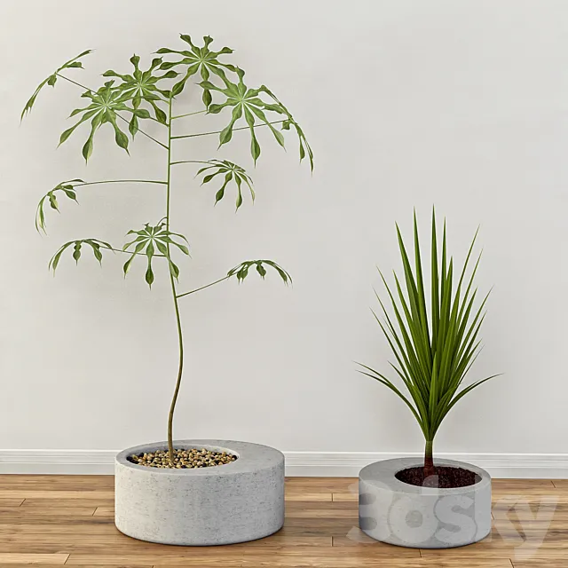 Obleeek Concrete Planter Set 3D Model