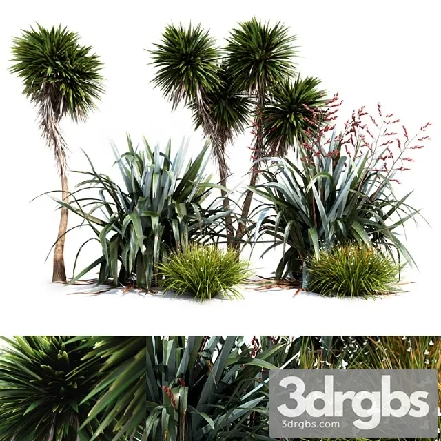 Oceania Plant Set 3D Model Free