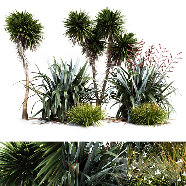 Oceania plant set 3DModel