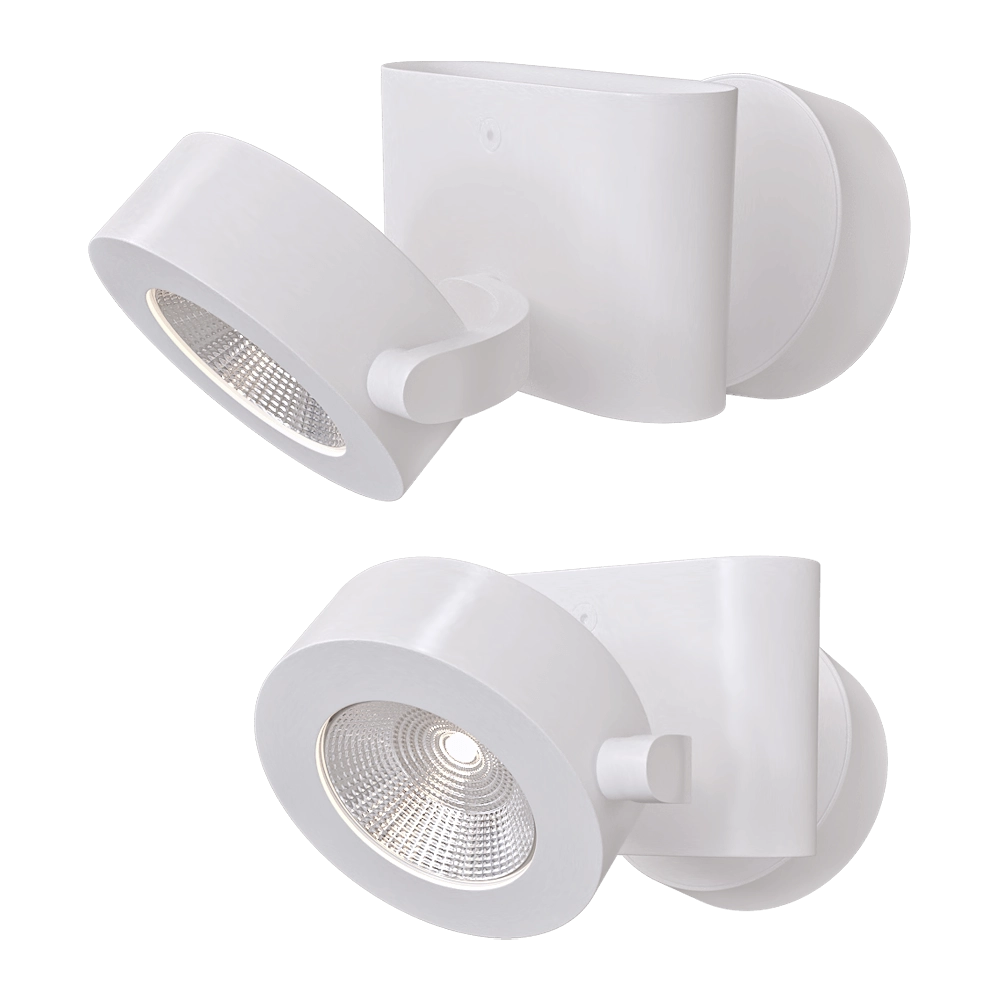Odeon Light - Ceiling lamp Pumavi 3493/20CL 3D Model