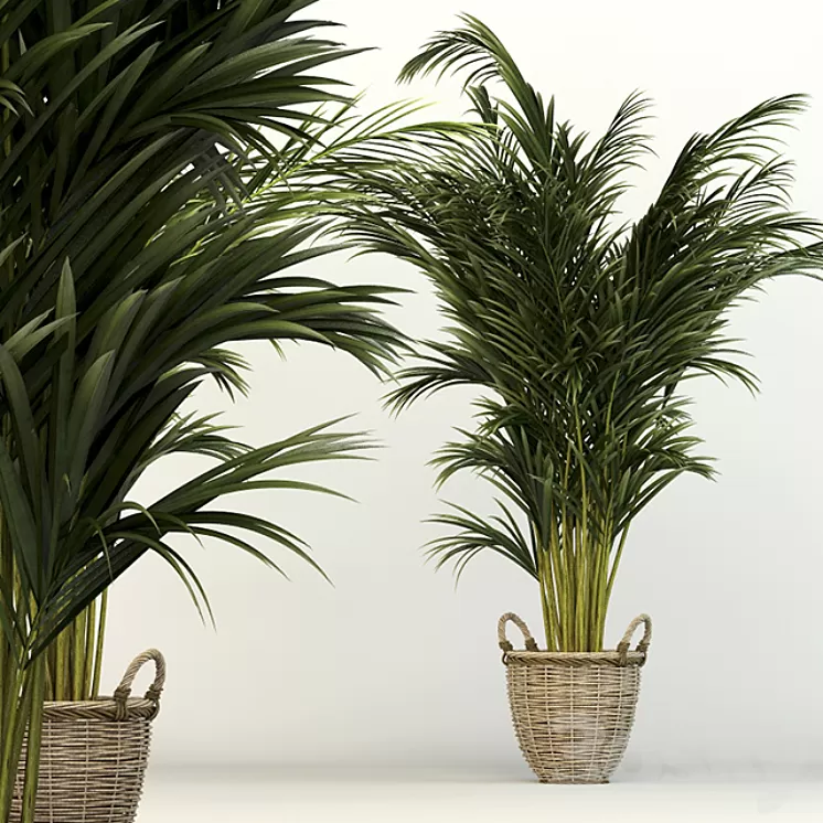 Office Chart 3D Model